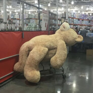 我明天就有耐心了