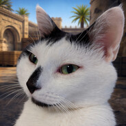 Player avatar