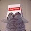 Cat With Supreme Bucket Hat