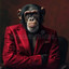 SOPA DO MACACO