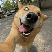 T。T
