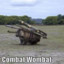 CombatWombat69