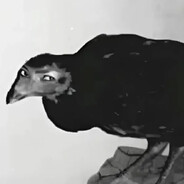 CORINGA ATUMALACA