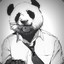 Mr Panda Man