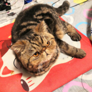 二十一克的靈魂