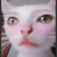 你猜猜我在干嘛