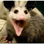 ImpossibleOpossum