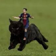 El gato de Messi