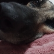 AtumXD