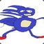 Sanic