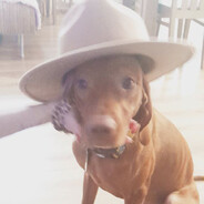 авантюрист