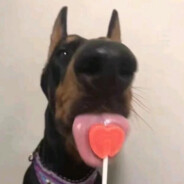 你咋一点不粉呢？