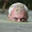Jeremy Wade
