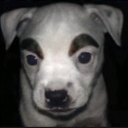 Orphan Stealer