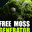 procedurally generated moss