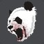 Pandas Pandilas