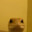 MagicLizard69
