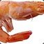 Prawn