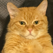 旋风陀螺拐弯螺旋屁