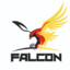 Falcon-667