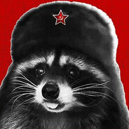 SovietRaccoon☭