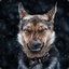 LoneWolf