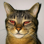 𝚊𝚖𝚊𝚝𝚢 ♡ - steam id 76561199520384308