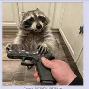 Hostile Racoon
