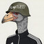 Avatar of Dodo