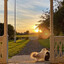 Dawn -