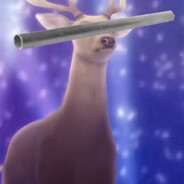 凌晨四点起床开鹿