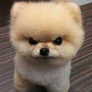 NyrkkiKyllikki's avatar