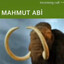 Mahmut Abi
