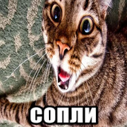 бред и ерунда