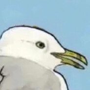 拨云揽星。。。