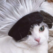 残目无焚忘红尘