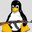 PINGU MUITO LOKO