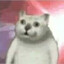 @mp3