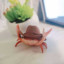 CrabChief