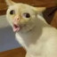 john