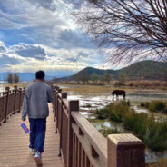 CSGO周年庆#今晚打老虎