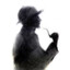 Sherlock