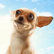 •ᴮᴬᴰʙᴏʏツ