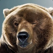 Fluffy Bear