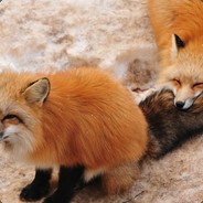 ForKanuPow
