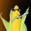 Corn_Dub