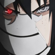 Hokage gocs.pro