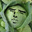 cabbage enthusiast
