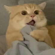 谁黑皮谁肘击谁在连累直升机？