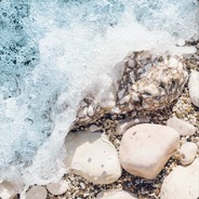 三岔路口李敏镐